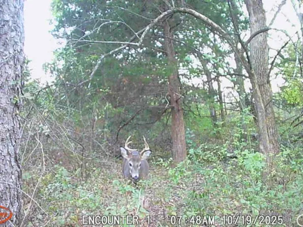 0 Yellowstone Ave, Blockton, IA 50836