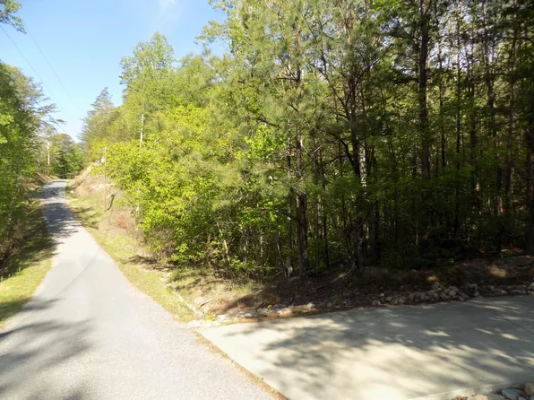 LOT 10 Cove Hollow Rd, Cosby, TN 37722