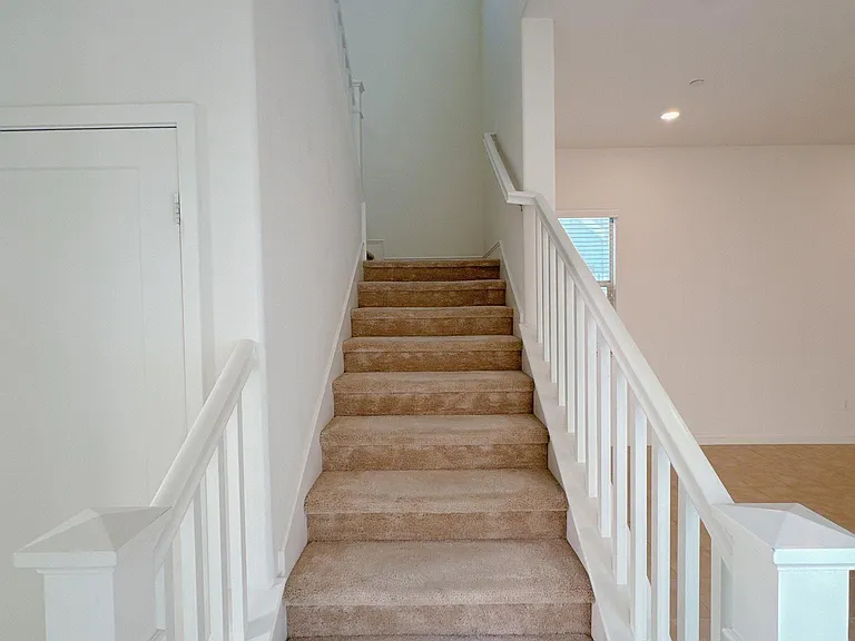 143 Terrapin — Photo 8