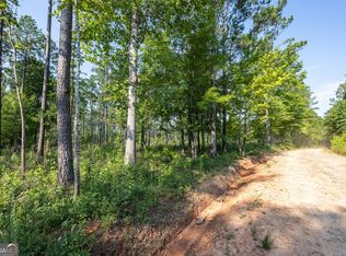 TRACT 2 State Highway 36, Waverly Hall, GA 31831