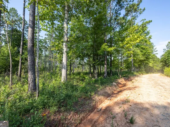 TRACT 2 State Highway 36, Waverly Hall, GA 31831