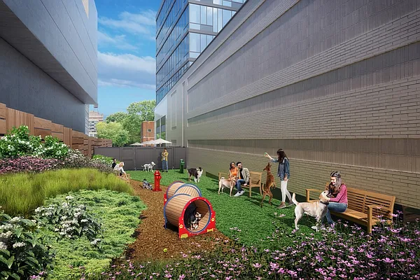 Rented by Red Apple Group | media 42