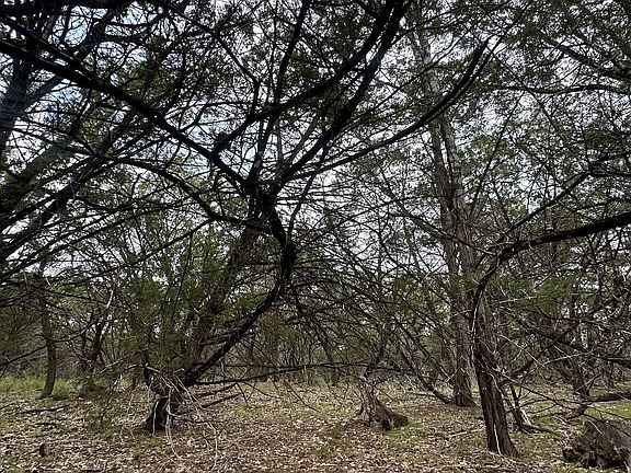 5th image of 000 Blanco Road LOT 4,5,6