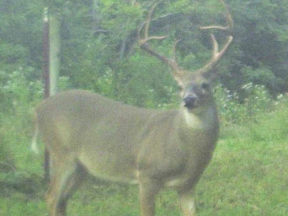 61st image of this home