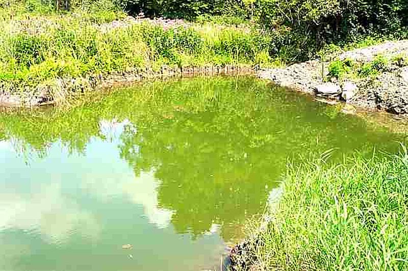 3rd image of 00 CALLAWAY Road