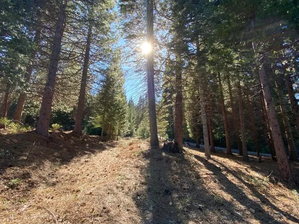 LOT 22 Woodside Ct, Mount Shasta, CA 96067