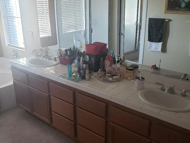 Master Bathroom DBL Sink