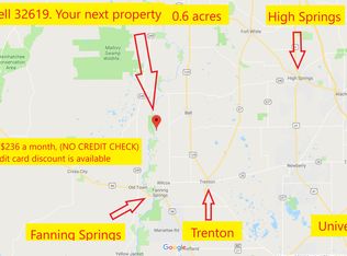 13 Southwest St, Bell, FL 32619