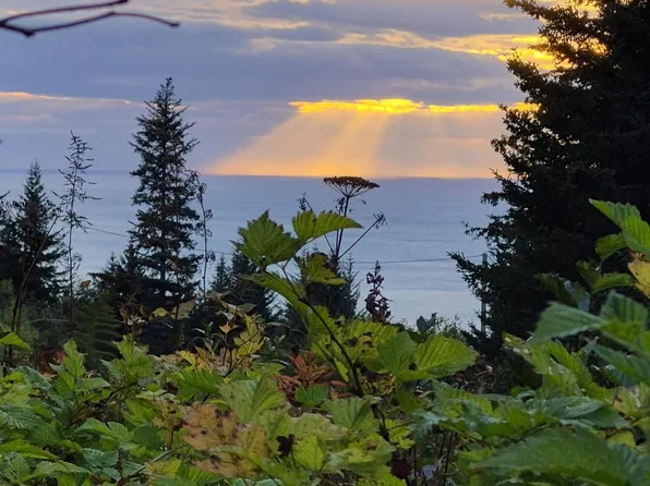 1253 S Boone Ln, Seldovia, AK 99663