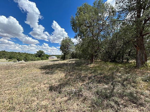 5th image of 10347 State Highway 337