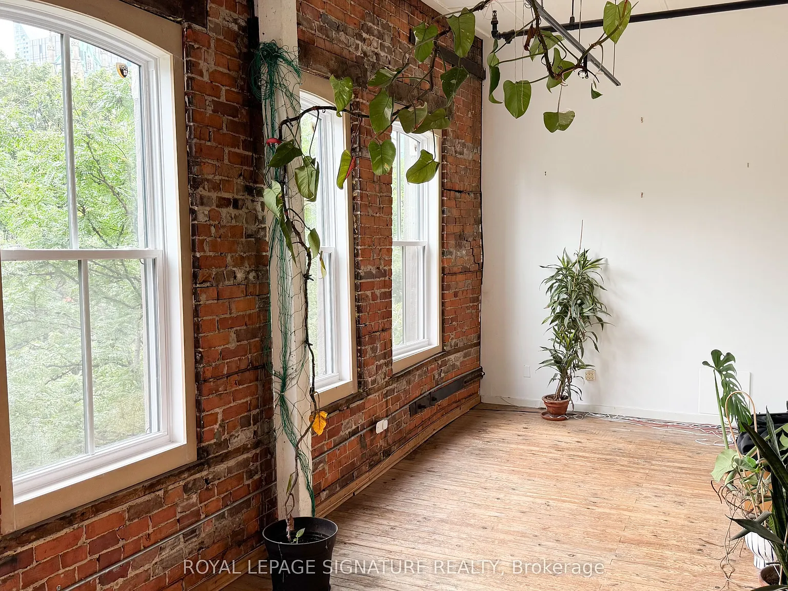 Studio, $2,800 — Photo 3