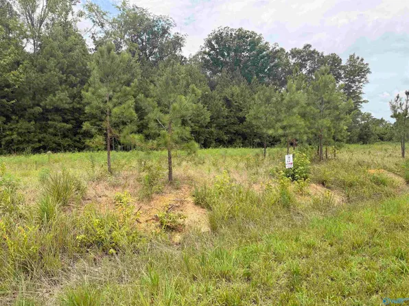 58 County Road 32, Piedmont, AL 36272