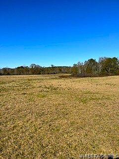 5th image of 30341 Cool Springs Rd