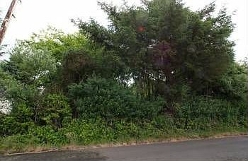 2nd image of 340 Clover Creek Ave NW