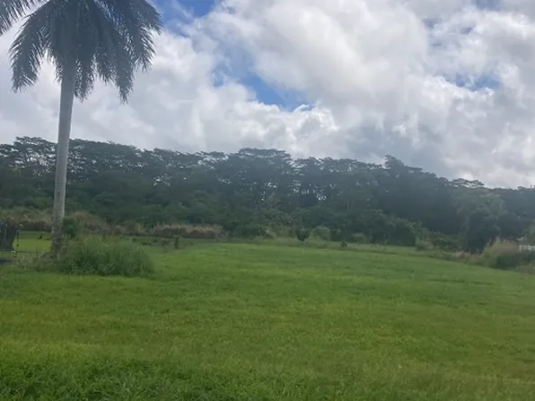 16-2245 Mamaka St #5, Keaau, HI 96749
