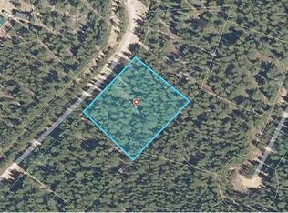 336 Eva Rd, Idaho Springs, CO 80452