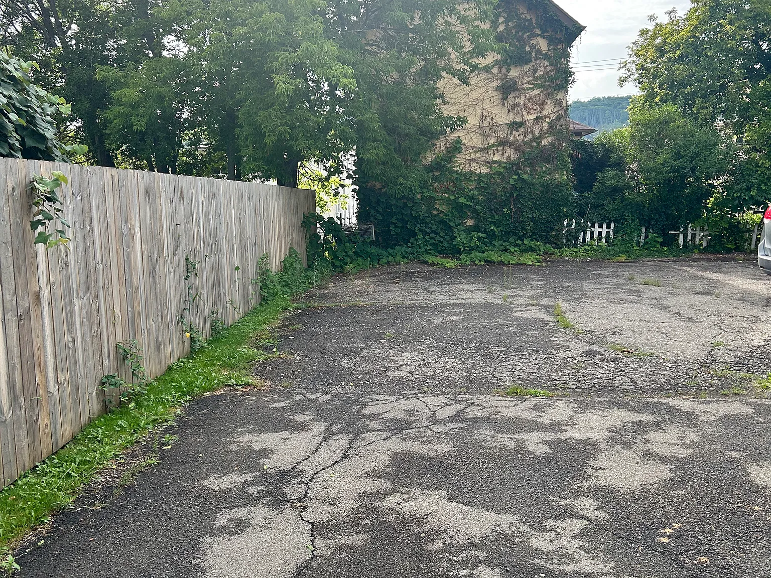 3 bed, 800 sqft, $1,250 — Photo 3