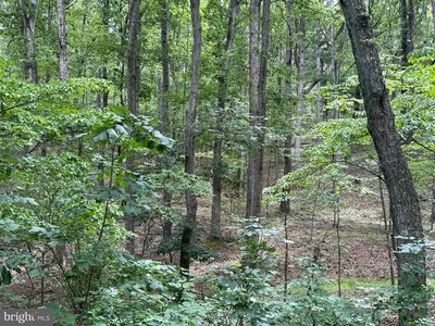 Arnold Stickley Rd, Green Spring, WV, 26722