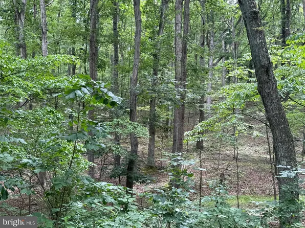 Arnold Stickley Rd, Green Spring, WV 26722