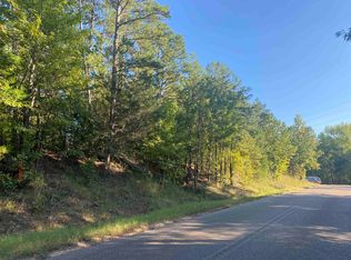 0 Gann Rd TRACT 6, Selmer, TN 38375