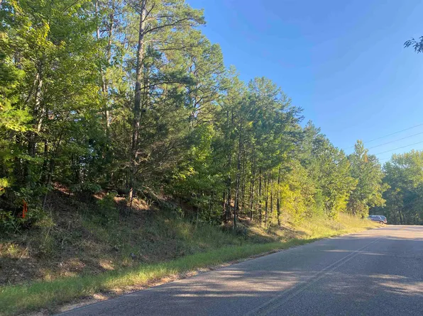 0 Gann Rd Tract 6, Selmer, TN 38375