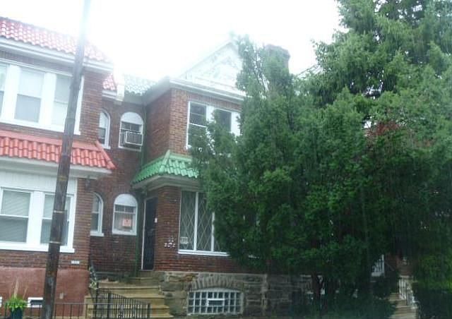 Front view