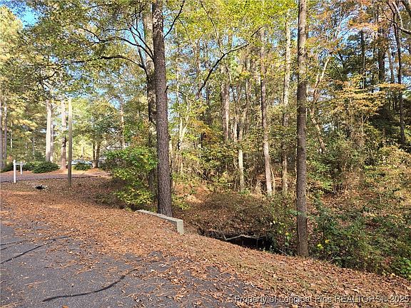 3rd image of LOT-47A Cypress Creek Cor