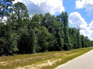 0 Porter Rd, Pembroke, GA 31321