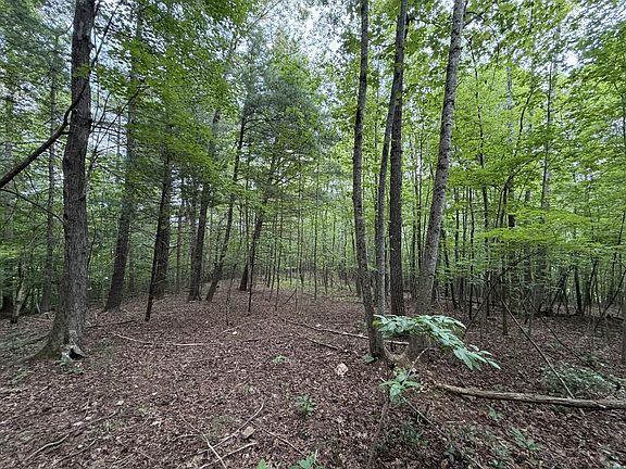2nd image of 0 Deer Creek Run