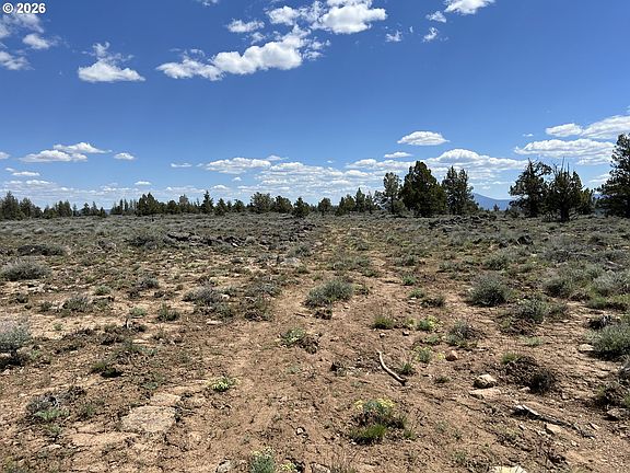 2nd image of Wildpine Way #6