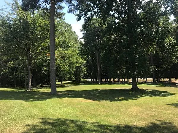 The Woods at Yorktown — Photo 3