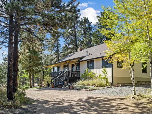 11982 Peak To Peak Dr, Allenspark, CO 80510