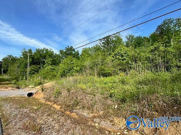 5th image of 2040 County Road 1082