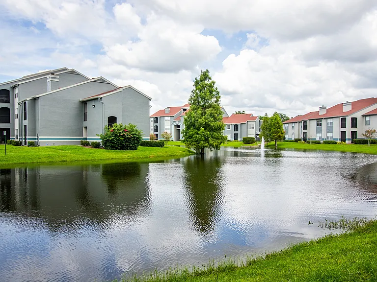 Pond View