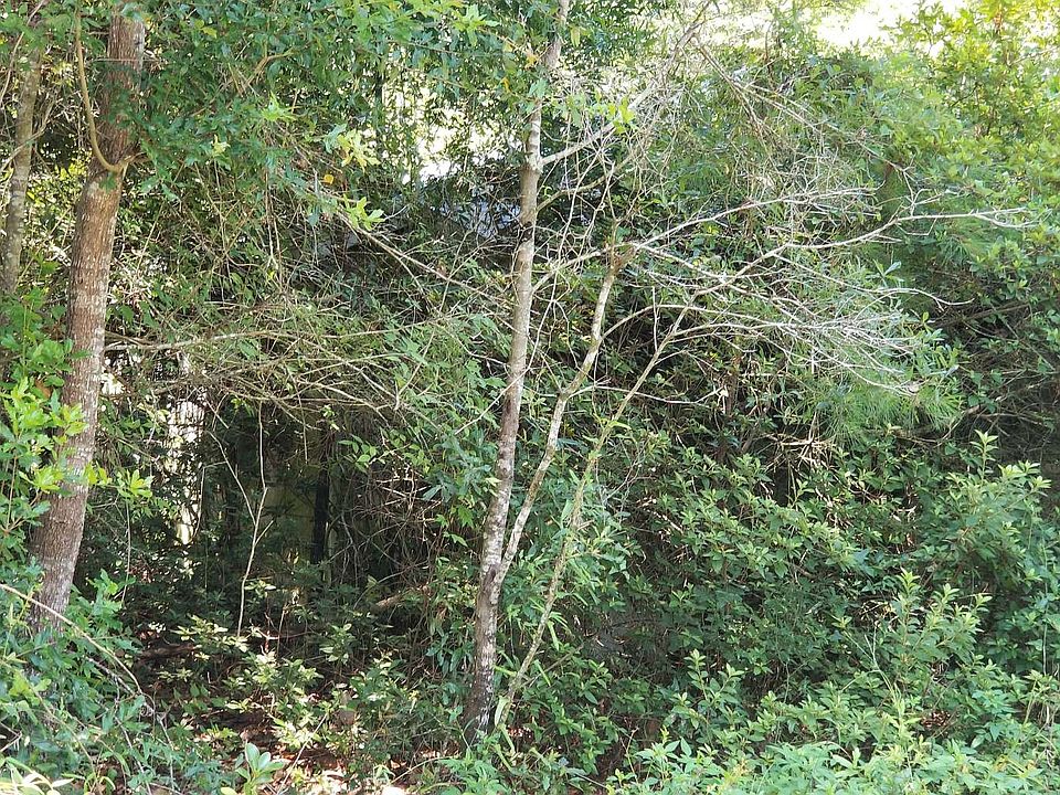 2nd image of Hamilton Ave