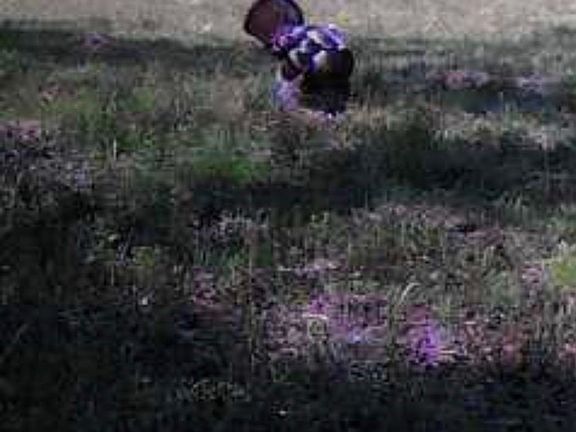 3rd image of Big Rock Trl
