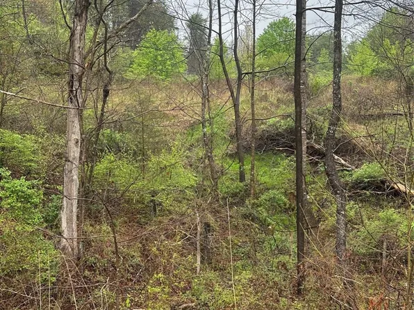 Holland Dr, Marion, NC 28752