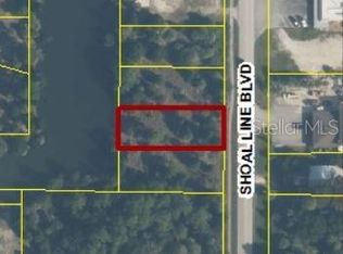 3169 Shoal Line Blvd, Spring Hill, FL 34607