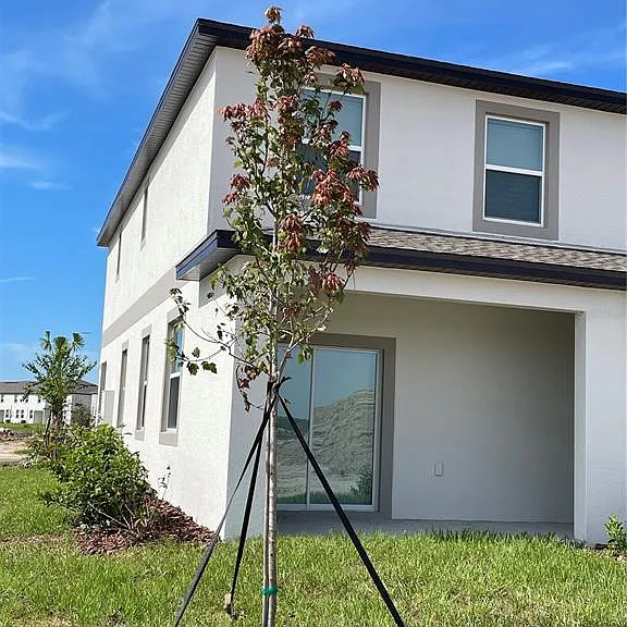 32077 Powderpuff Mimosa Dr — Photo 41