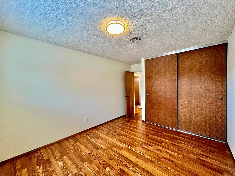 Large Closet in MBR