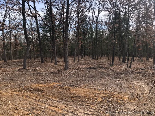 Palomino Ln, Kingston, OK 73439