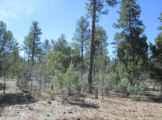 4671 W Thistle Ln, Show Low, AZ 85901