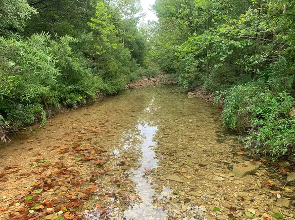 000 County Road 818, Gainesville, MO 65655