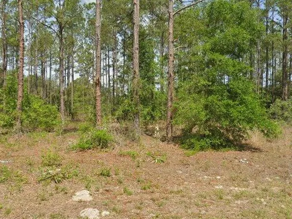 10940 N Letterwood Way, Citrus Springs, FL 34434