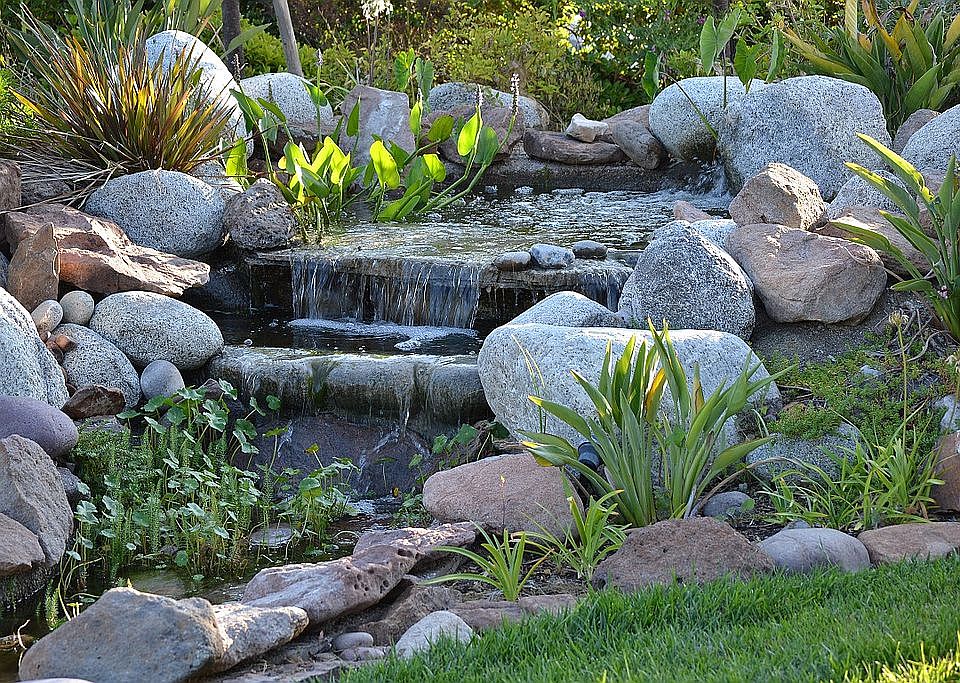 Front Yard Brook