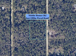 10655 FLIKKEMA Avenue, Hastings, FL 32145