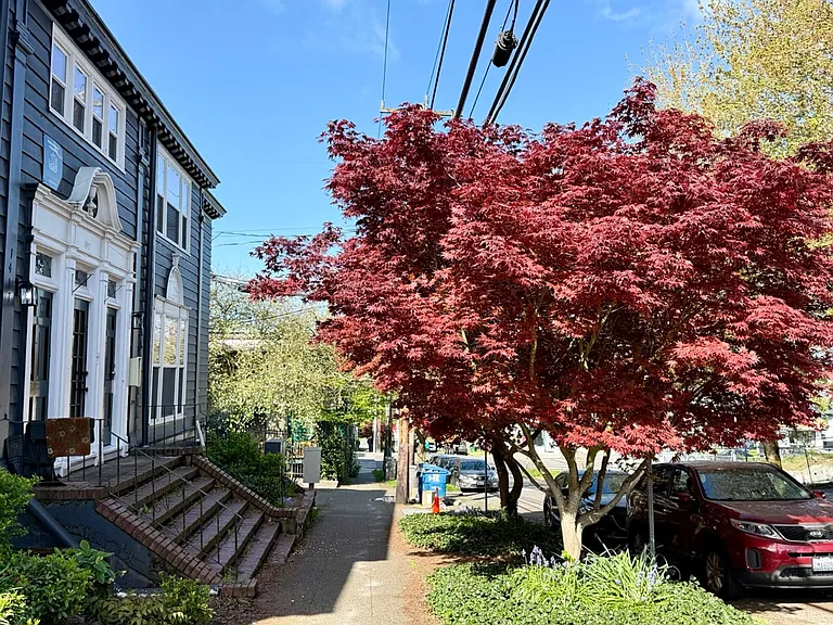 University Heights — Photo 3