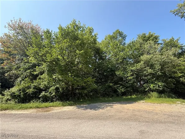 Connie St, Steubenville, OH 43952