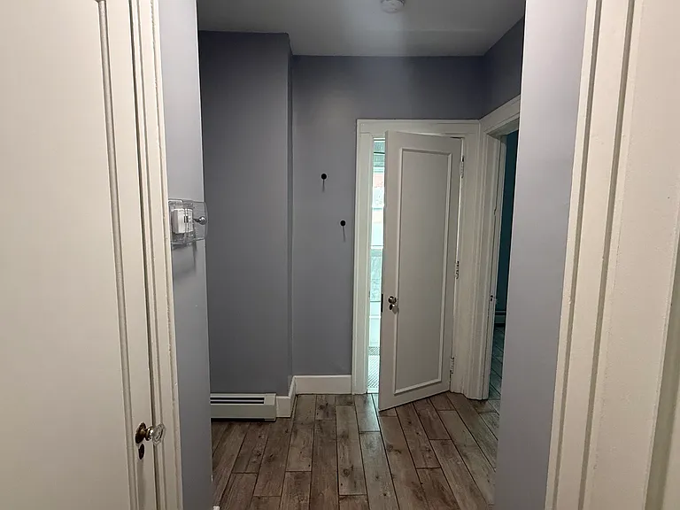 244 Allen St #1 — Photo 5