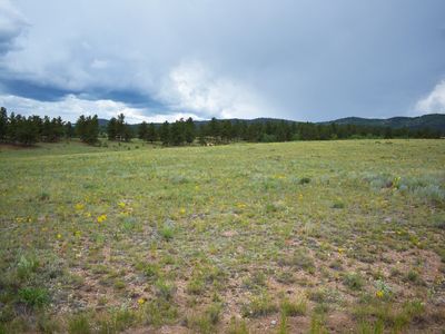 767 Brahma Cir, Hartsel, CO, 80449